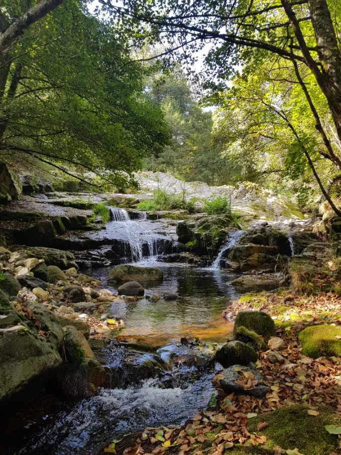 La rivière de montagne et ses vasques au pied de la vallée